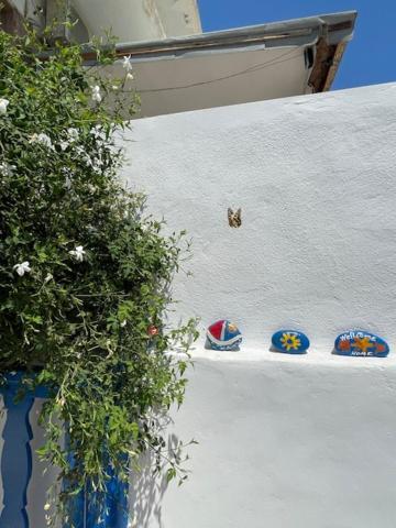 Marena 1 Aparthotel Makry Gialos  Exterior photo